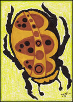 Little Brown Bug#2 by Tyler Hannigan
