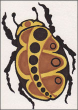 Little Brown Bug#4 by Tyler Hannigan