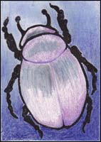 Lavendar Beetle by Tyler Hannigan