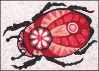 Flower Badge Beetle by Tyler Hannigan