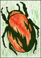 Fire Bug by Tyler Hannigan