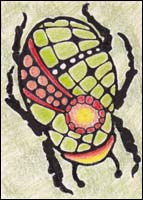 Zen Beetle #2