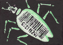 Greenish Code Bug